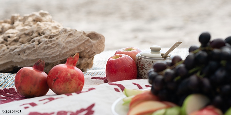 Rosh Hashanah meal with pomegranates and apples on blanket.