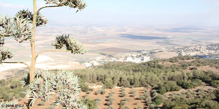 View from Mt. Carmel