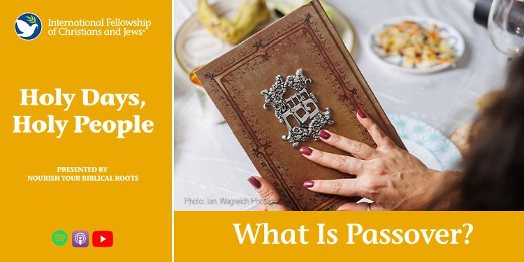 Person holding a Passover Haggadah book during a Passover meal with traditional foods on the table.