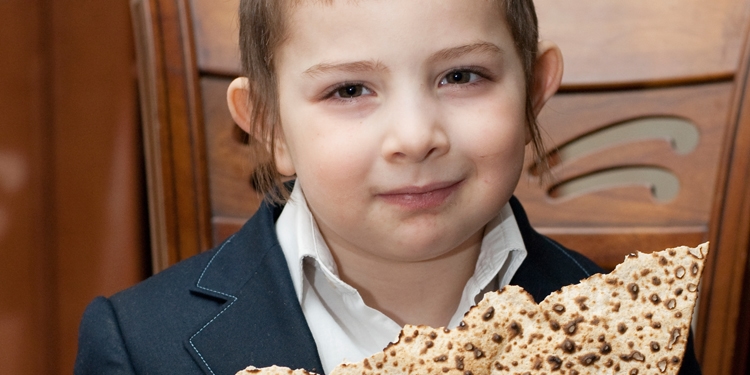Young boy looking at the camera while matzah is in his hand.