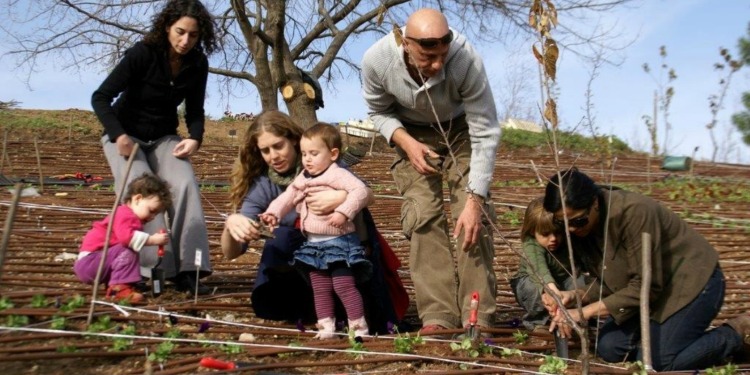 A family of seven planting a botanical garden during Tu B'Shvat.