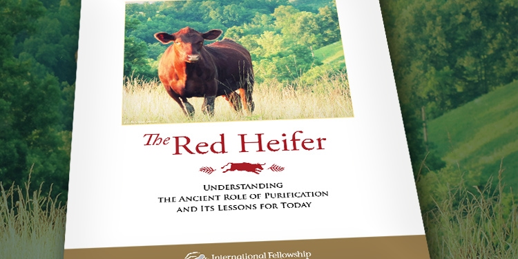 Cover of The Red Heifer booklet against a grassy background.