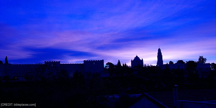 The outlines of buildings against a pink and dark blue sky.