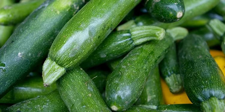 Close up image of a pile of zucchinis.