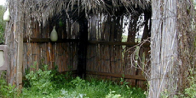 Close up image of a Sukkah.