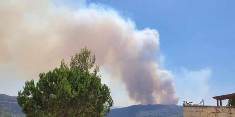 Wildfires in Israel, August 2021